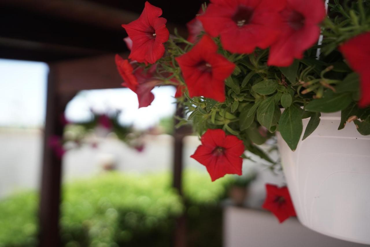 Bed and Breakfast Salento Terra Maris Cocumola Екстер'єр фото