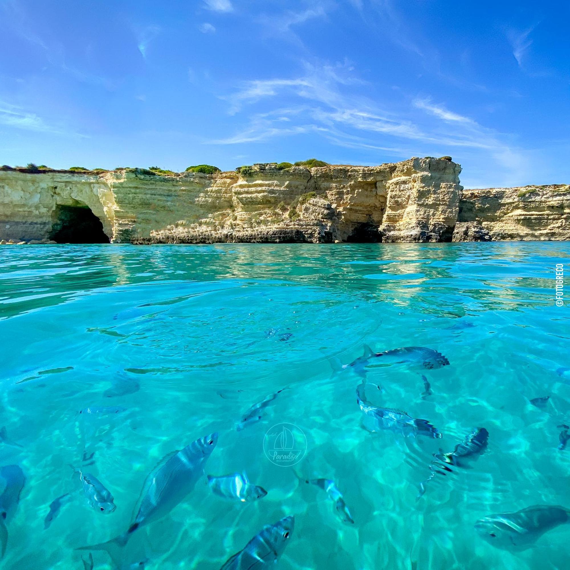 Bed and Breakfast Salento Terra Maris Cocumola Екстер'єр фото